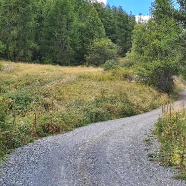 Gravel Driveways